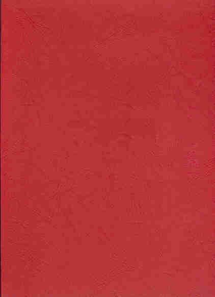 Präsentationsmappe rot
